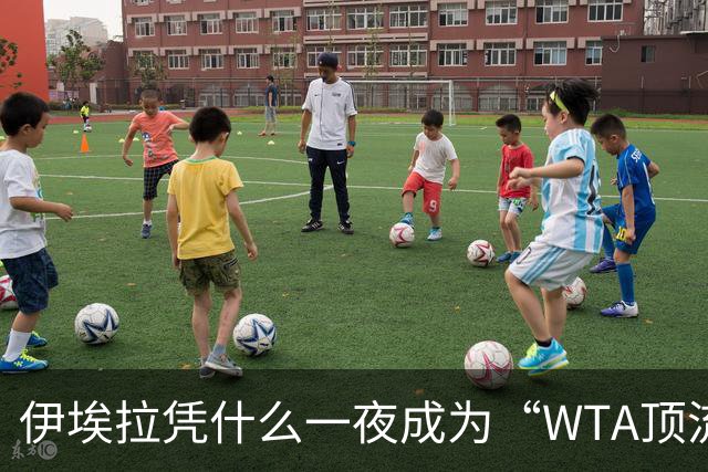 伊埃拉凭什么一夜成为“WTA顶流”、扛把子？郑钦文差在哪里？